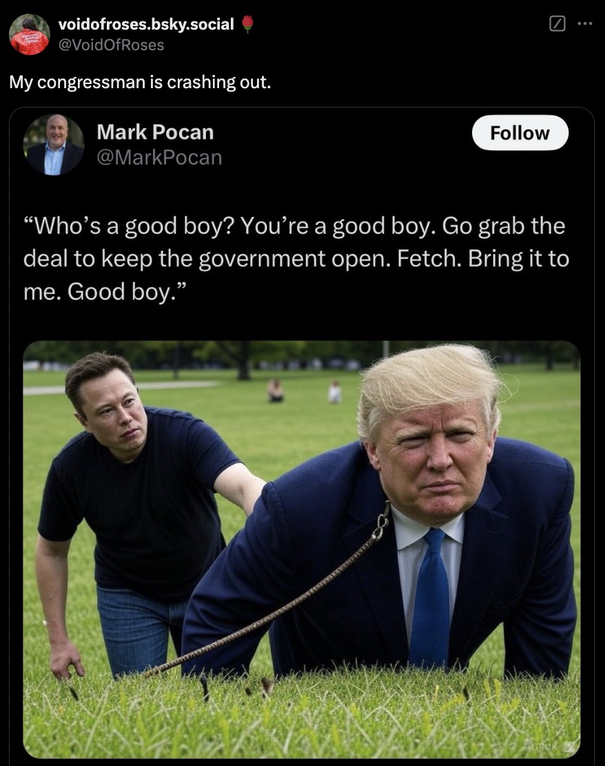 lawn - voidofroses.bsky.social My congressman is crashing out. Mark Pocan "Who's a good boy? You're a good boy. Go grab the deal to keep the government open. Fetch. Bring it to me. Good boy." wwwwwwwwwEY 8